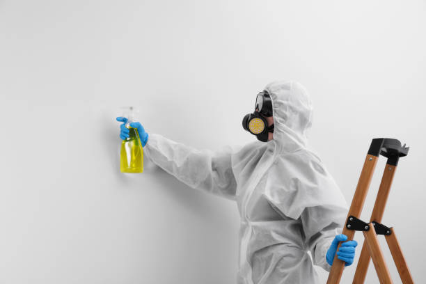 Why You Should Choose Our Mold Remediation Services in Tyler, MN